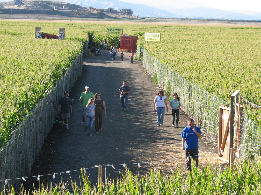 Swank Farms-霍利斯特必去景点