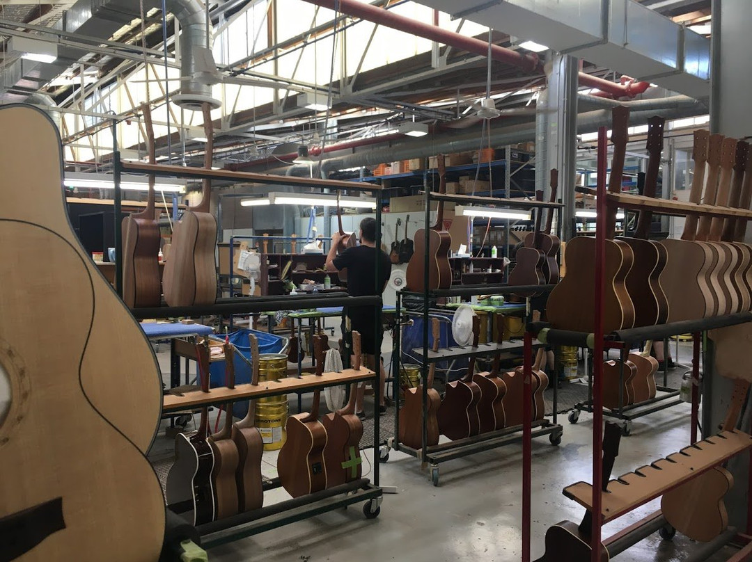 Maton Guitars-墨尔本必去景点