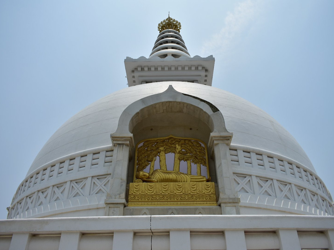 Vishwa Shanti Stupa景点图片