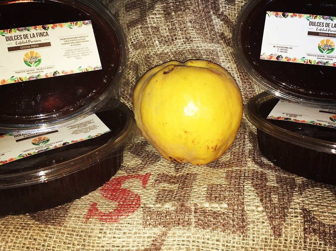 Finca Paru-圣拉斐尔必去景点