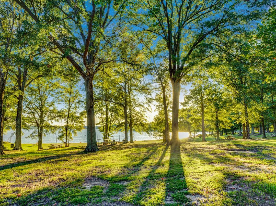 Days Inn Hernando主图