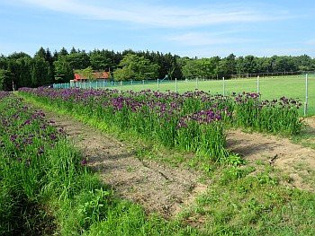 Nopporo Noson Park
