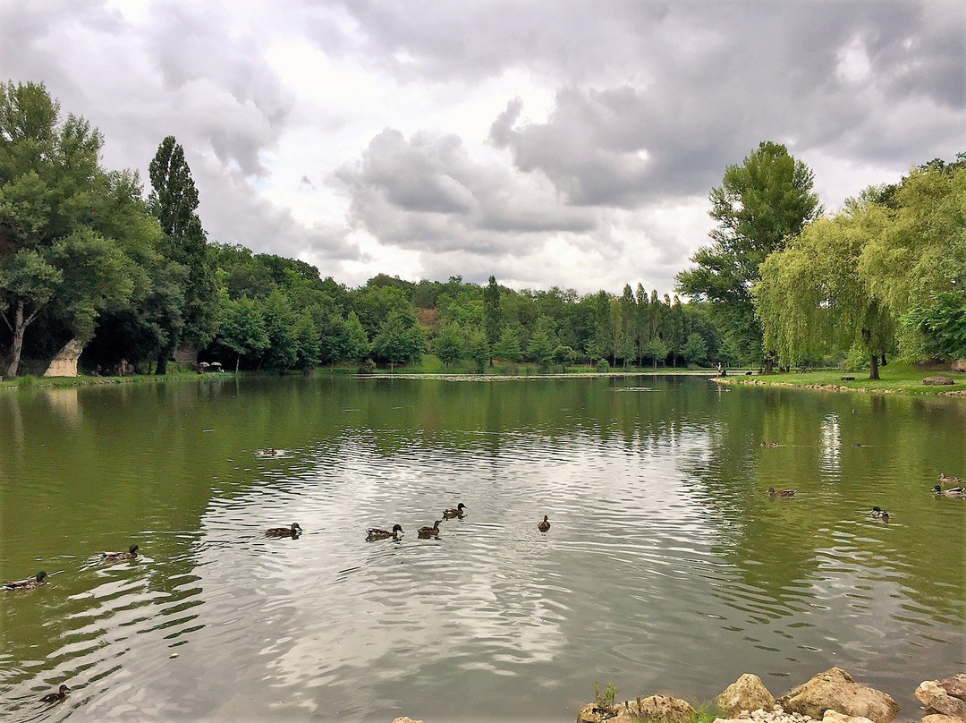 Etang de Lussac景点图片