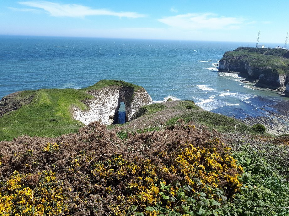Flamborough旅游攻略图片
