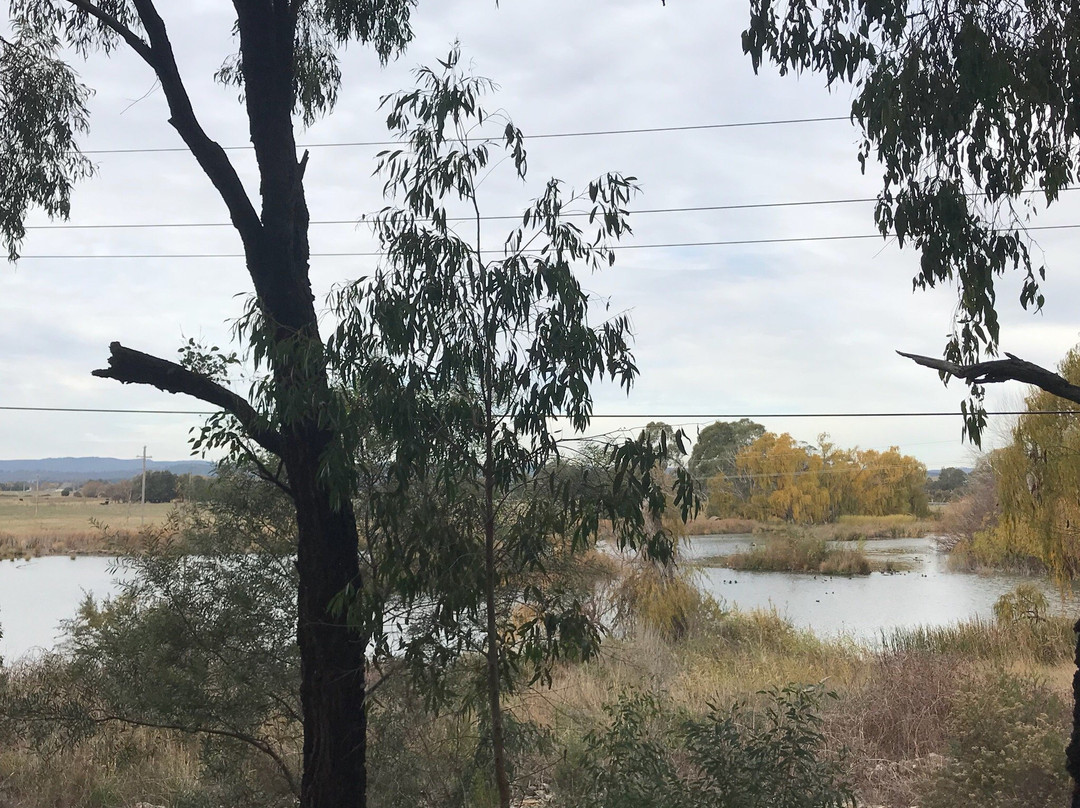 Jerrabomberra Wetland景点图片