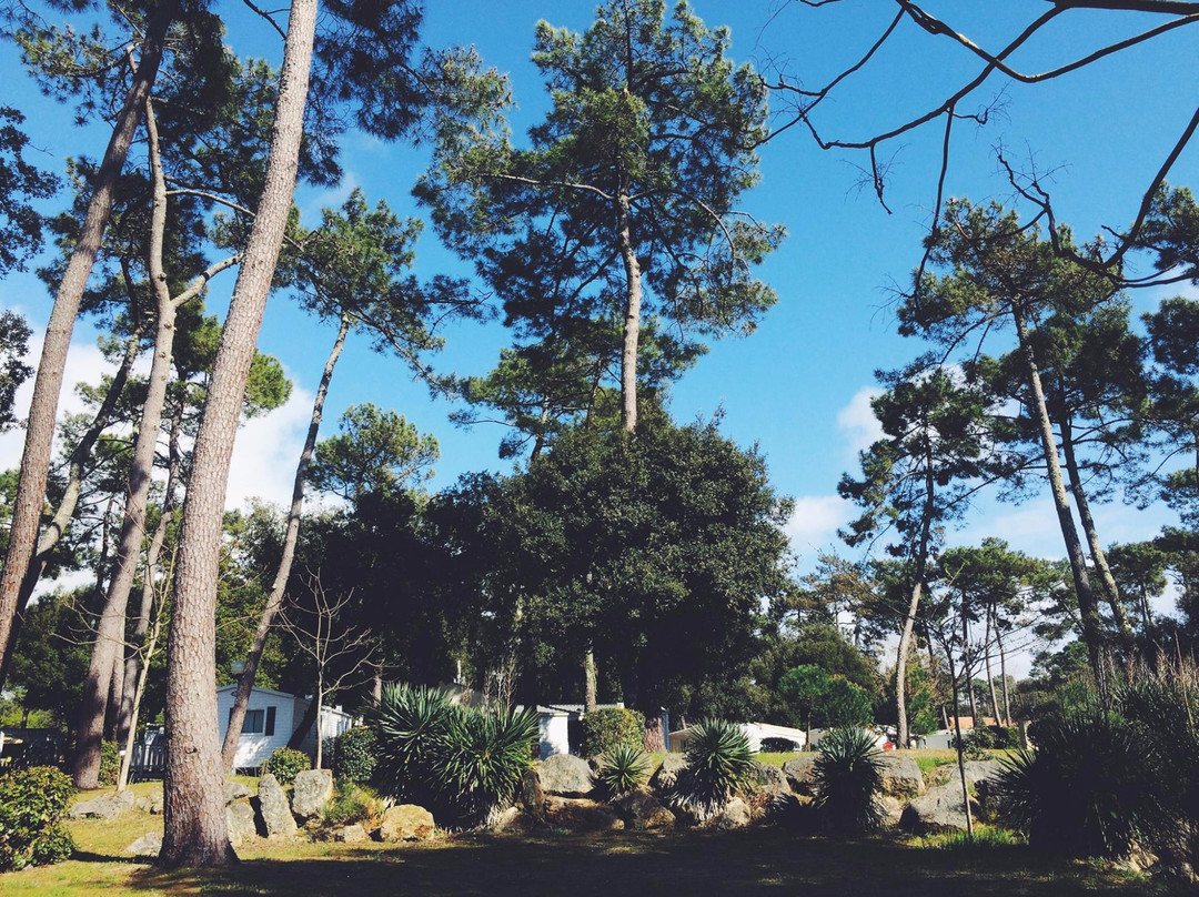 Camping Beausoleil