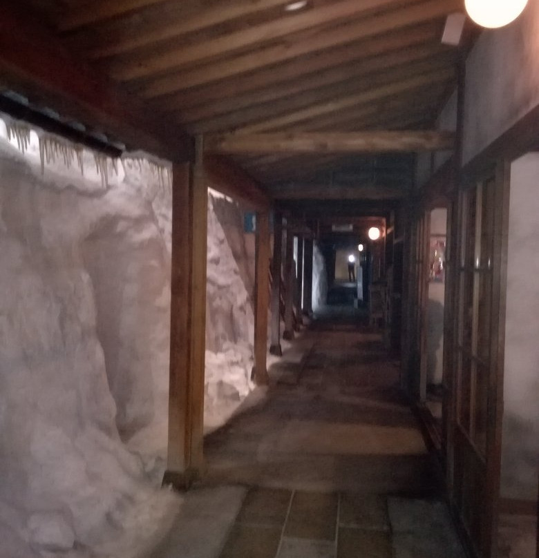 Niigata Prefectural Museum of History-长冈市必去景点