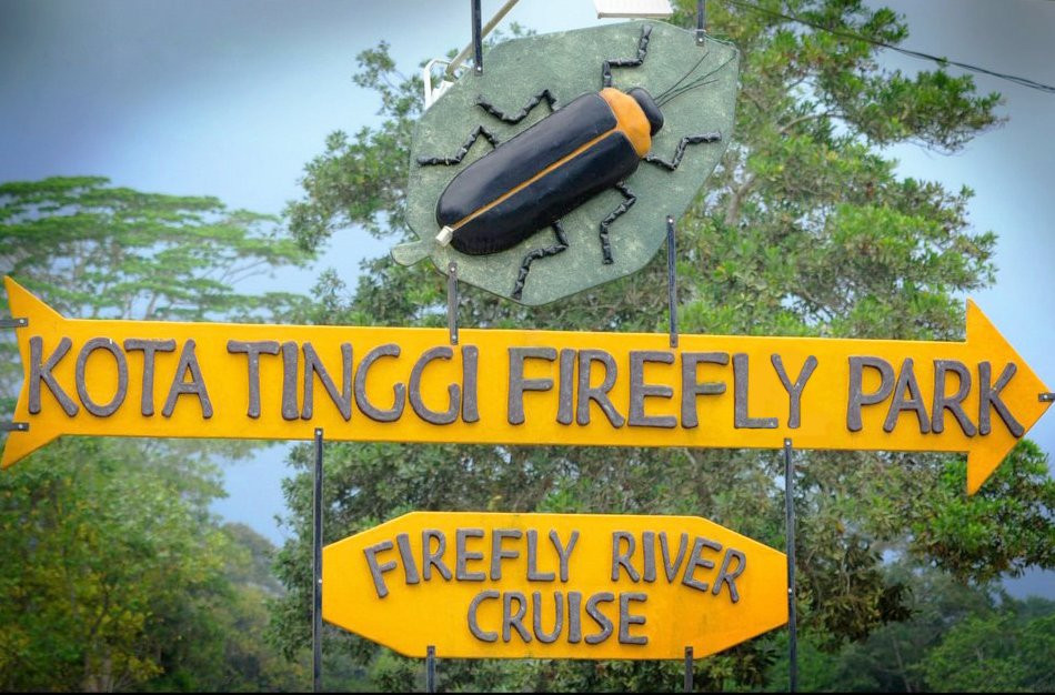 哥打丁宜萤火虫公园-新山必去景点