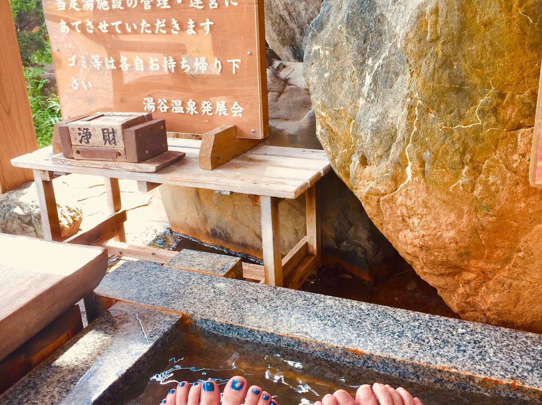 Foot Bath of Rishusennin景点图片