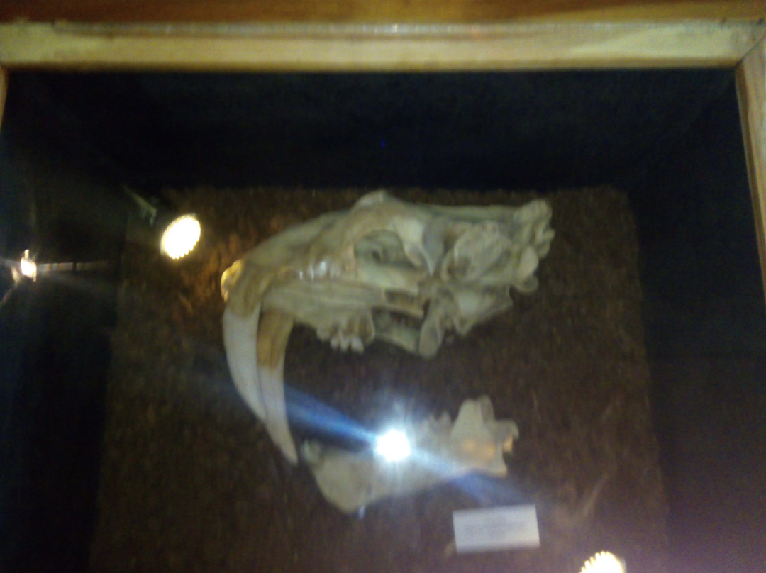 JuraPark-Solec Kujawski必去景点