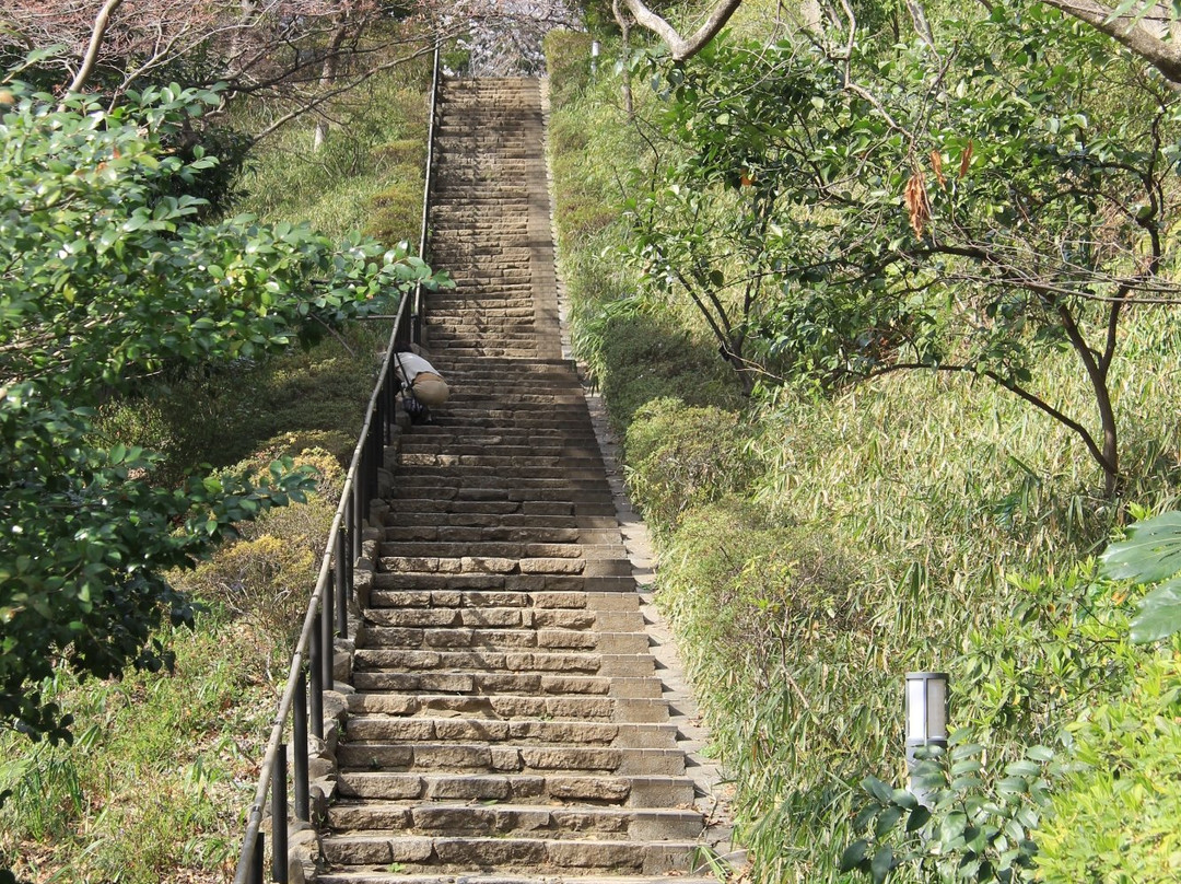 Denenchofu Seseragi Park景点图片