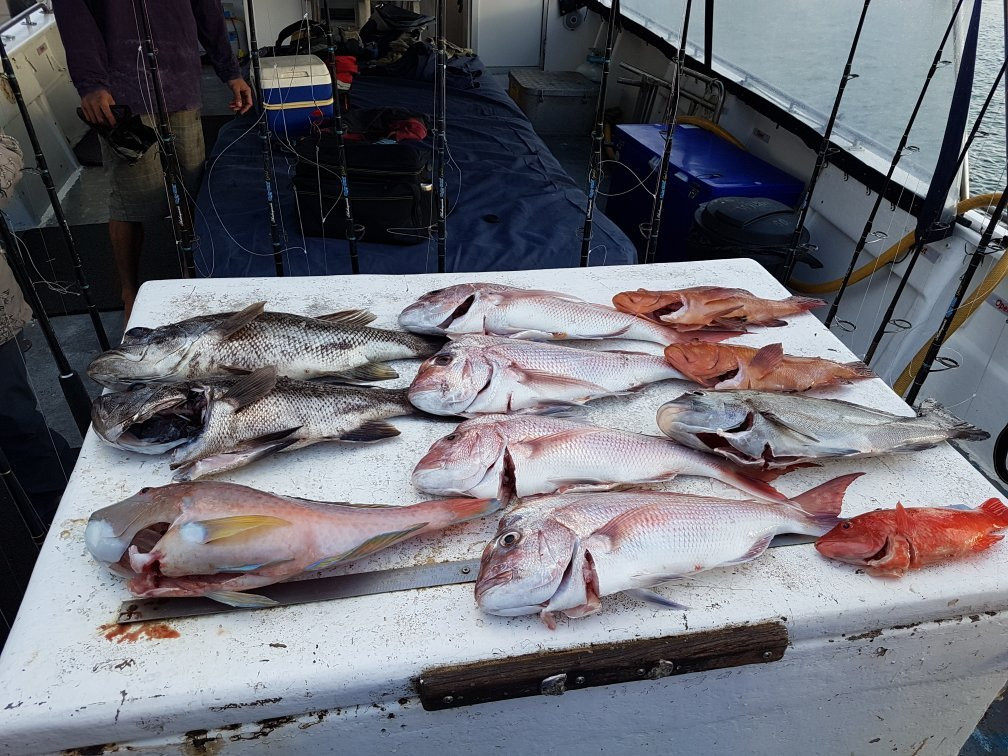 Mindarie Fishing Charters景点图片