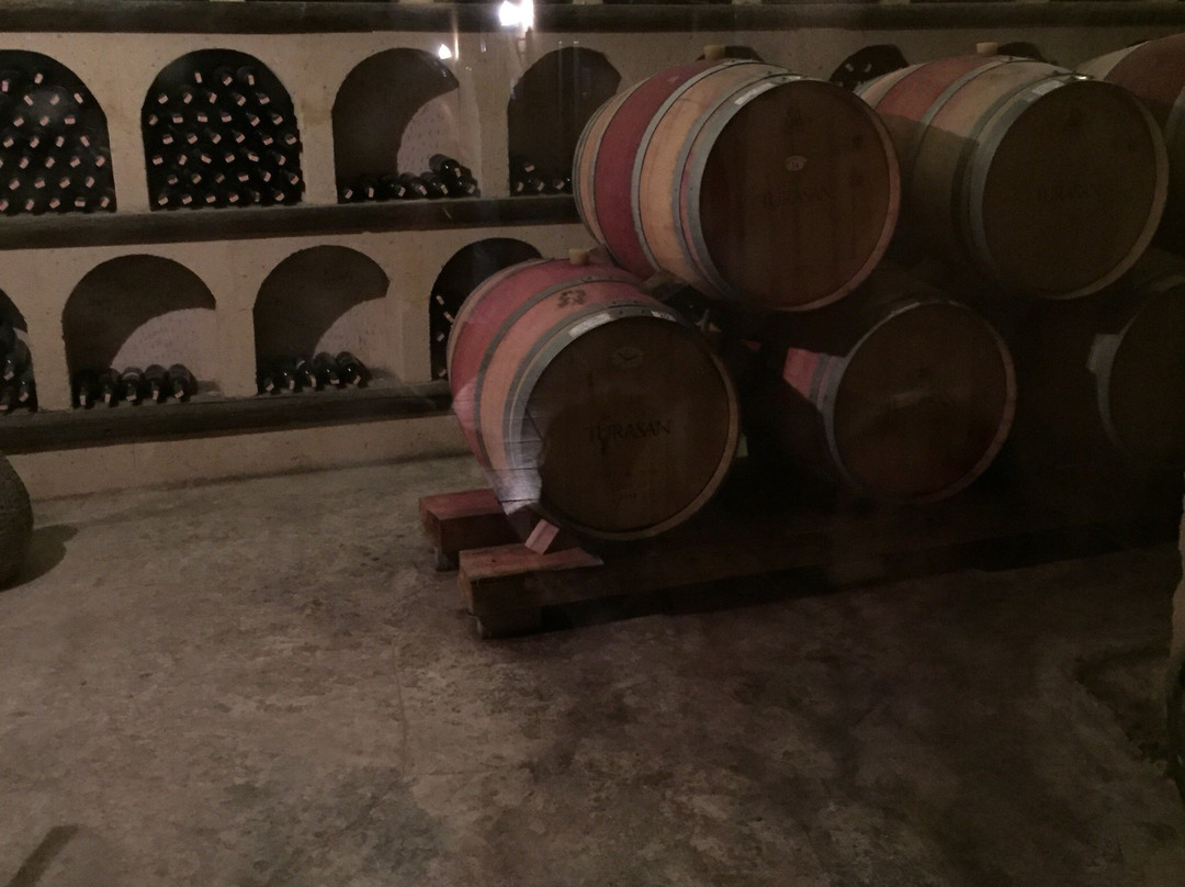 Turasan Viniculture-内夫谢希尔必去景点