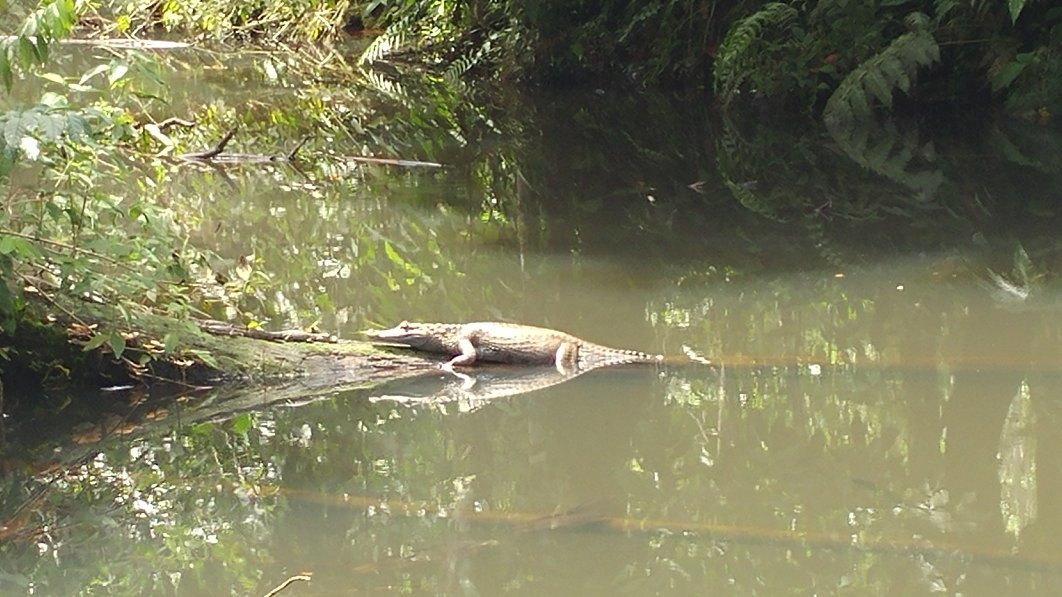 Zoorefugio Tarqui-Puyo必去景点
