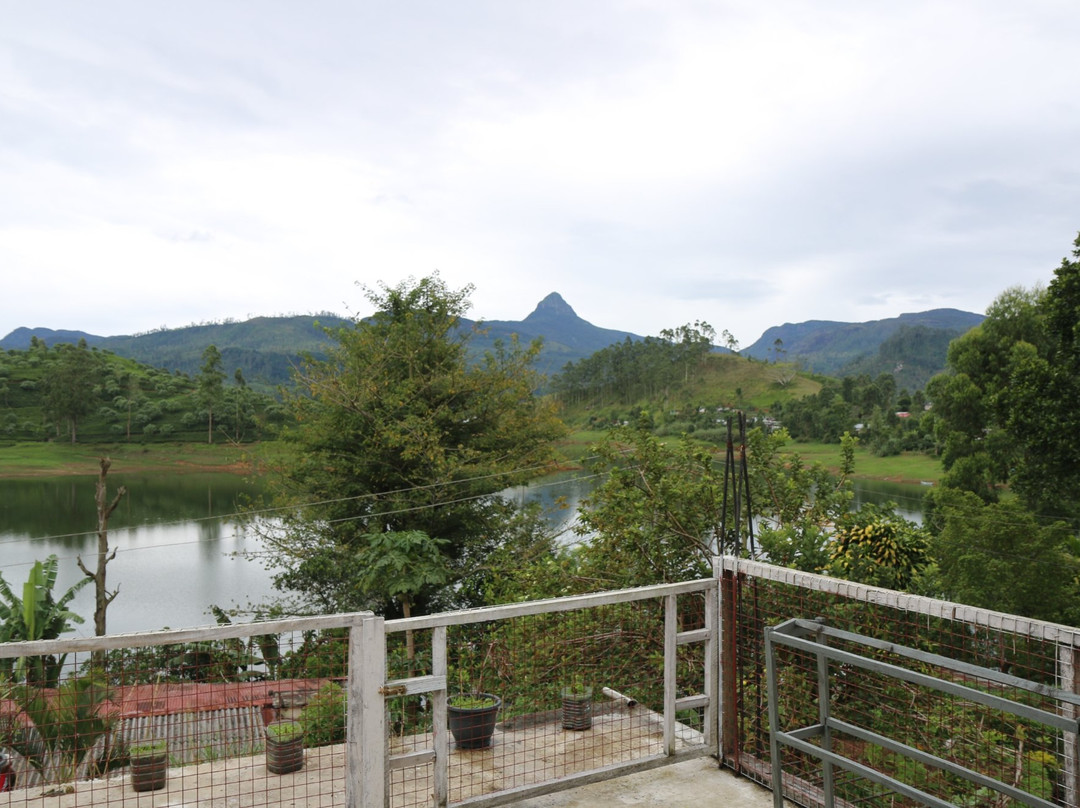 Butterfly Mountain Lake Side主图