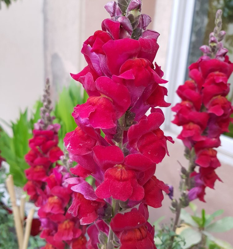 佛塔里斯木尔坦酒店主图