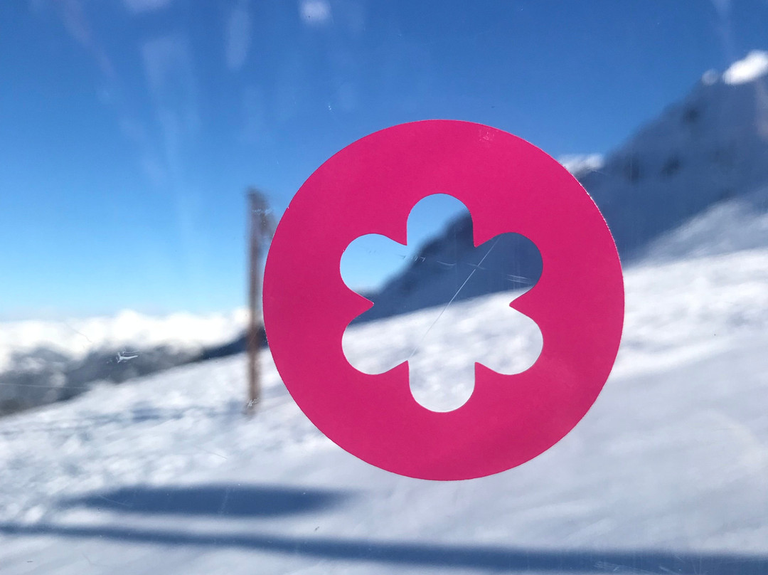 Marmalade Ski School景点图片