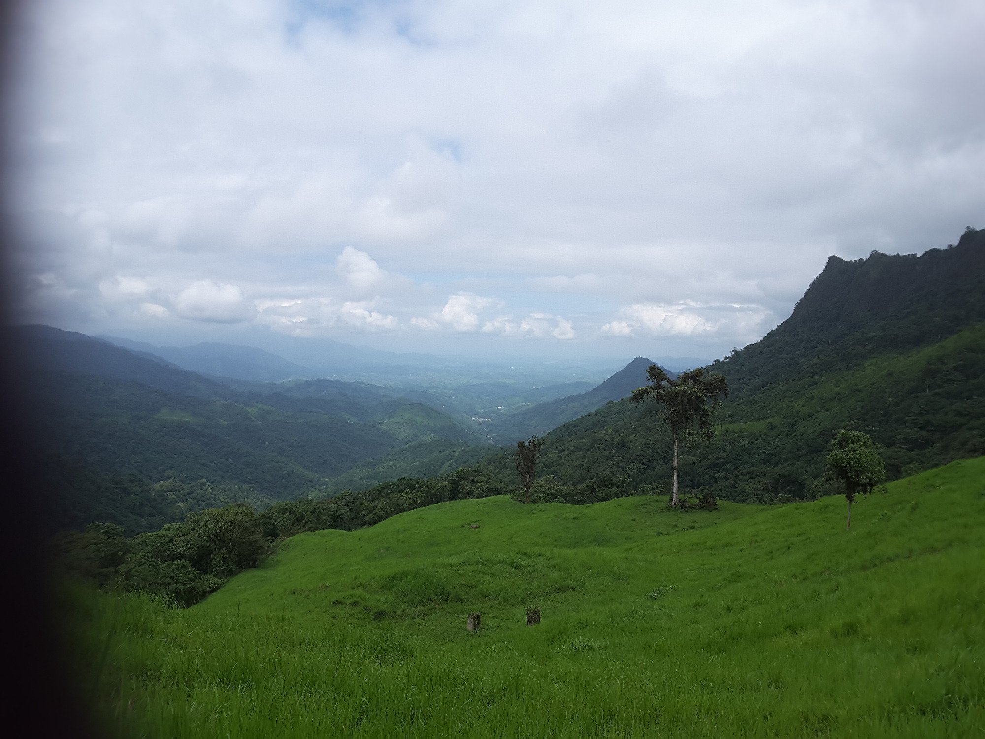 Hostal Gualingo-官方