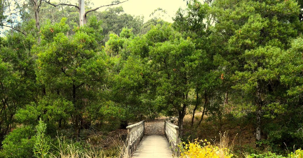 West barwon reservoir-Forrest必去景点