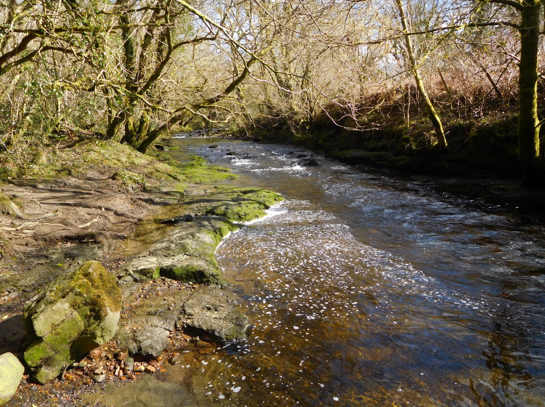 Ynys Dawela Nature park景点图片