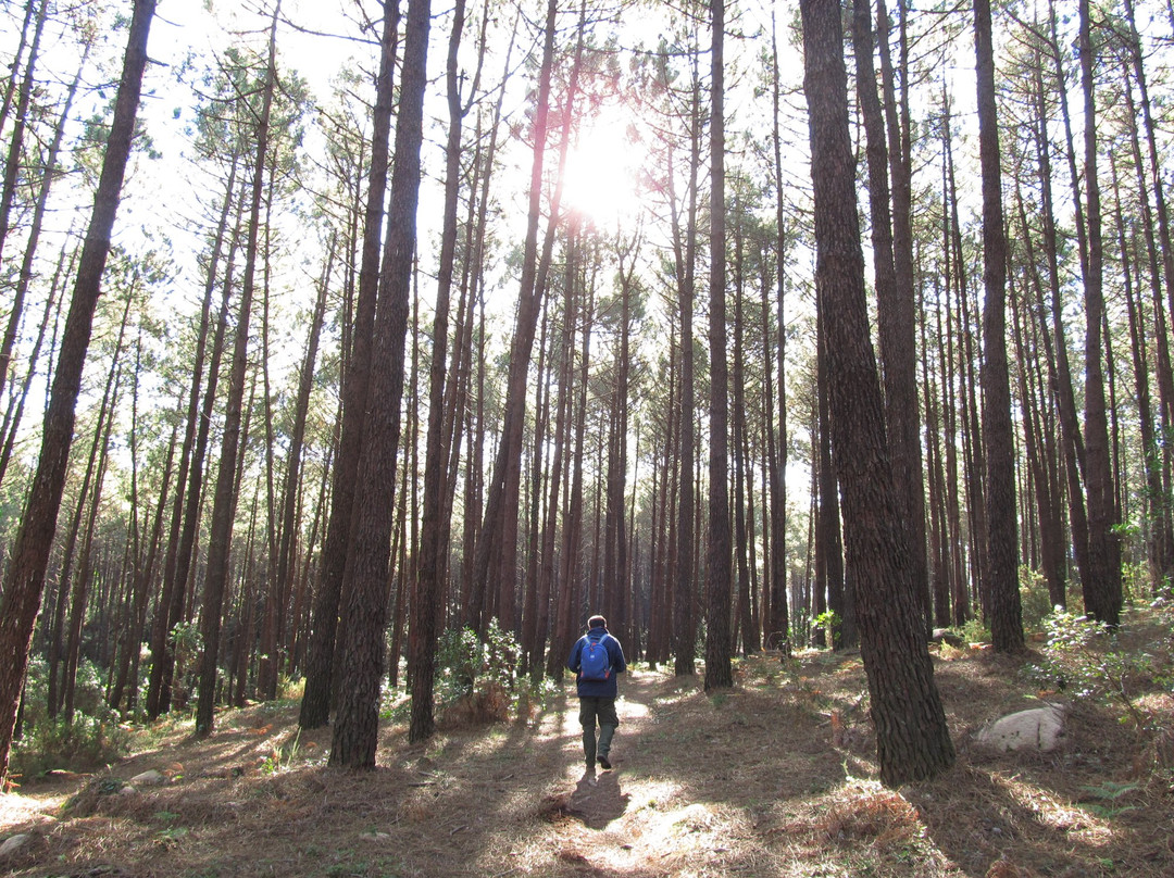 Sintra By Sofia-辛特拉必去景点