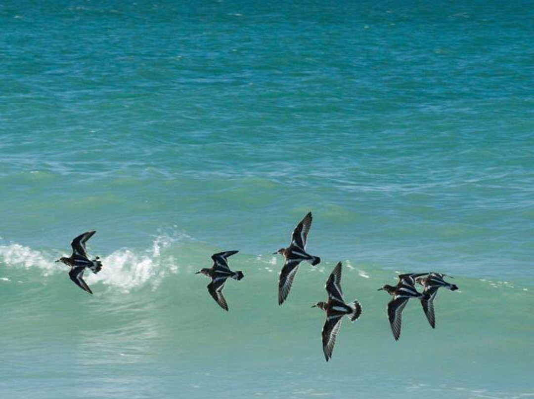 Punta Frances Marine National Park景点图片