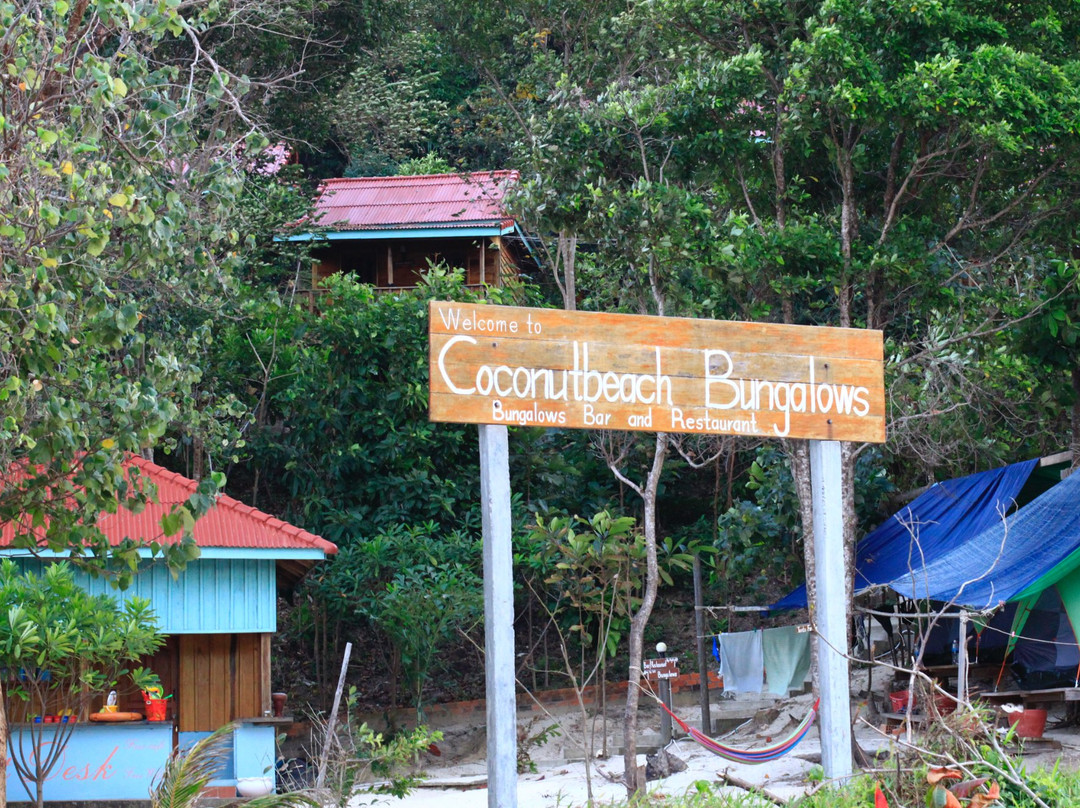 椰子海滩别墅主图