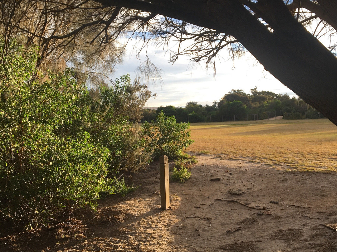 Trey Bit Reserve-Sandringham必去景点