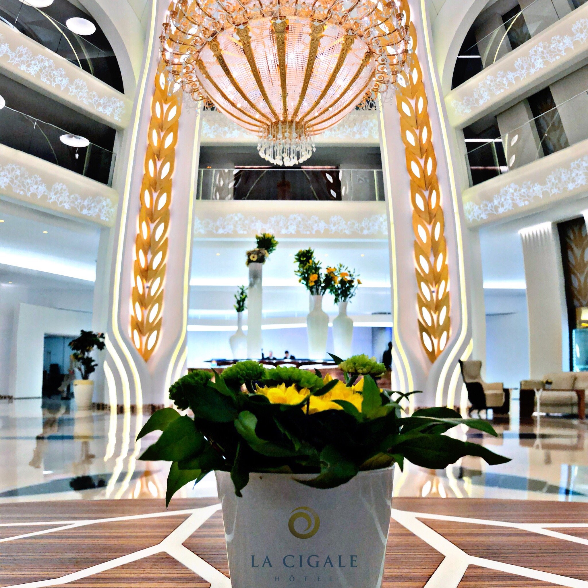 La Cigale Tabarka Hotel Thalasso Spa & Golf-官方
