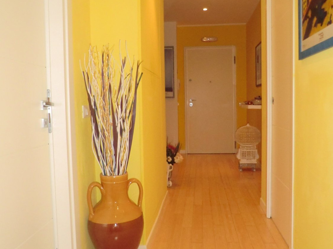 Il Giardino Di Alisa主图