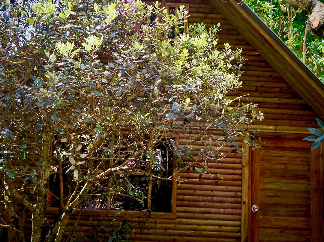 Cabana Agrreste Bed & Breakfast主图