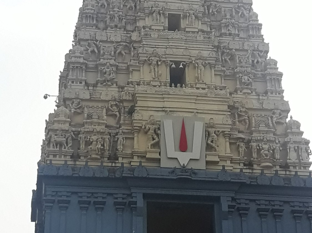 Varaha Lakshmi Narasimha Temple景点图片
