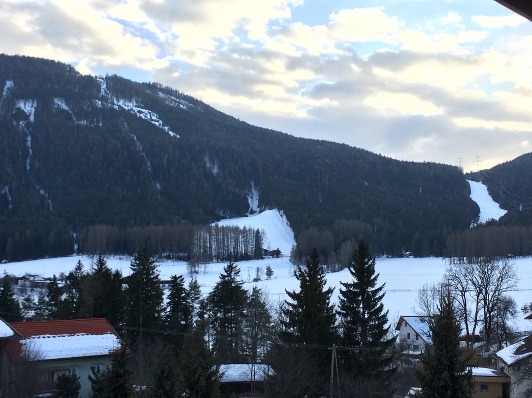 Wohlfühlpension Alpenhof主图