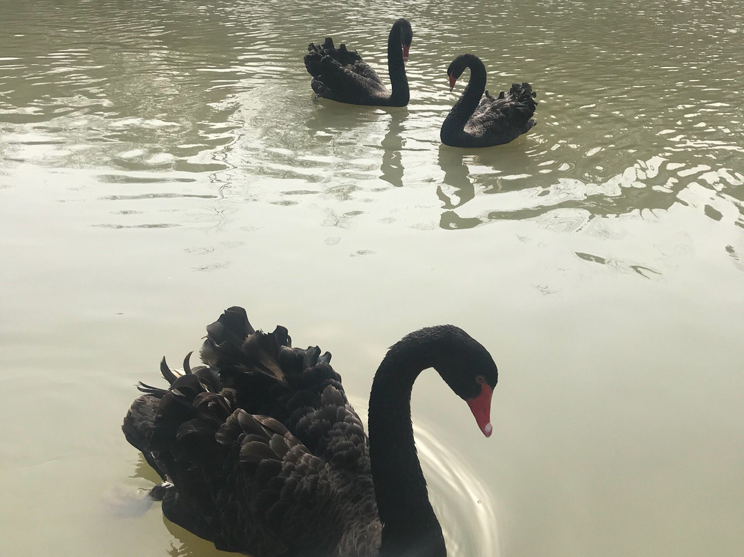 五亭桥-扬州市必去景点