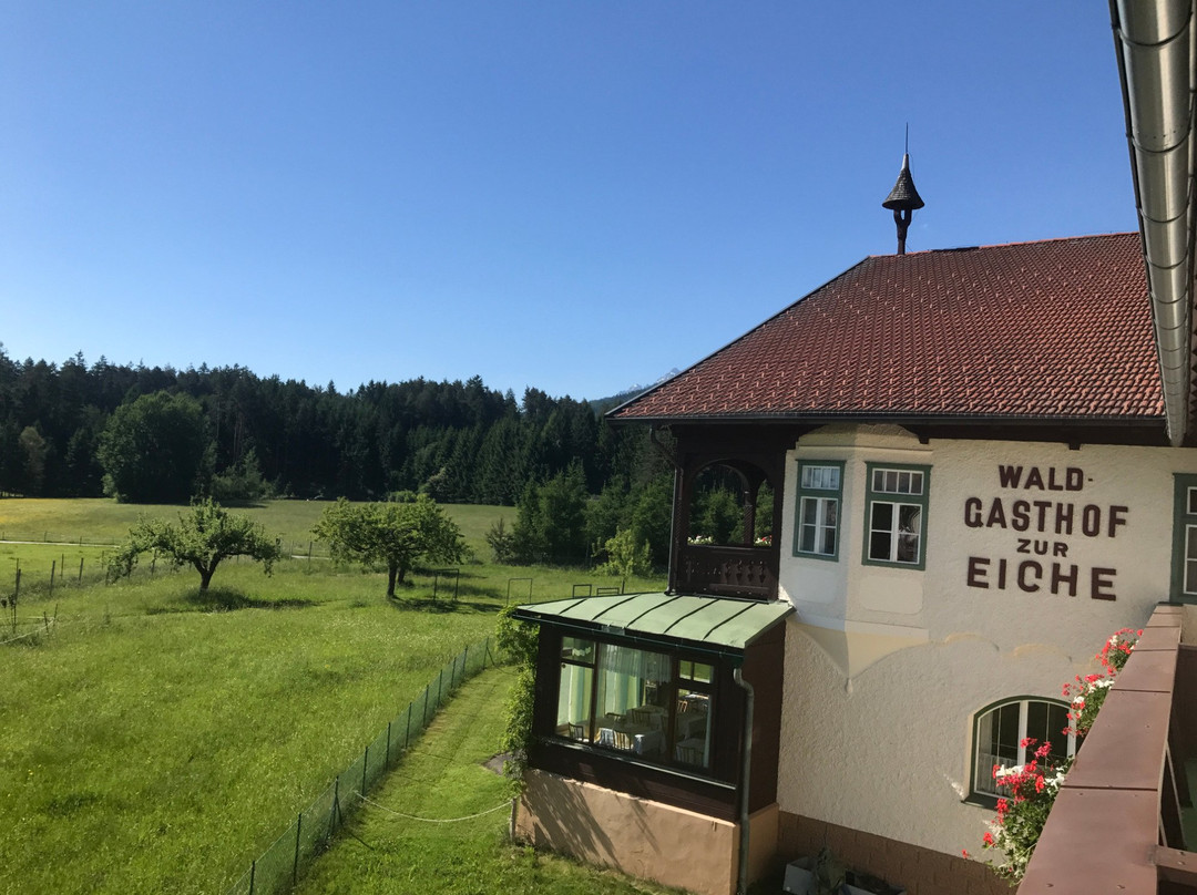 Landhotel Gasthof Eichhof主图