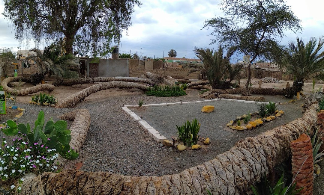 Palmera de Siete Cabezas-伊卡必去景点