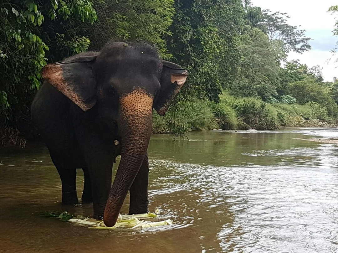 Green View Home Stay主图