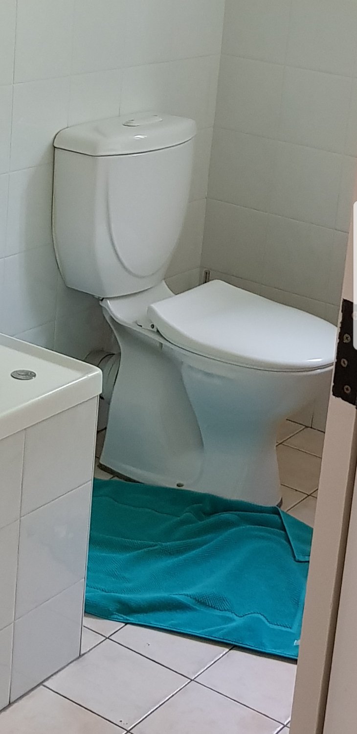 伯尔尼山峰山林小屋-浴室