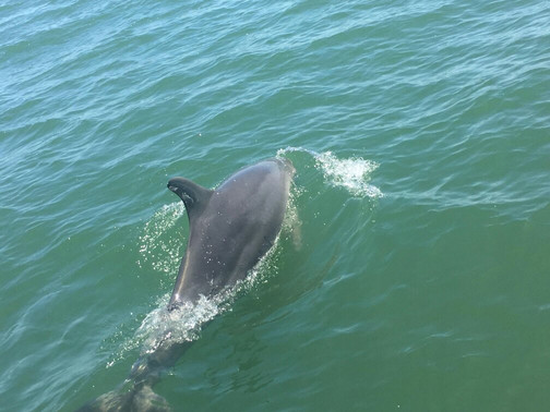 Stag Watersports-曼杜拉必去景点