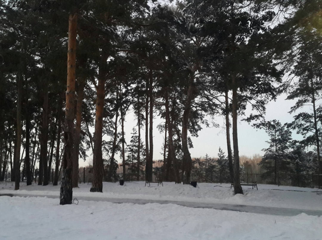 Gilevskaya Grove景点图片