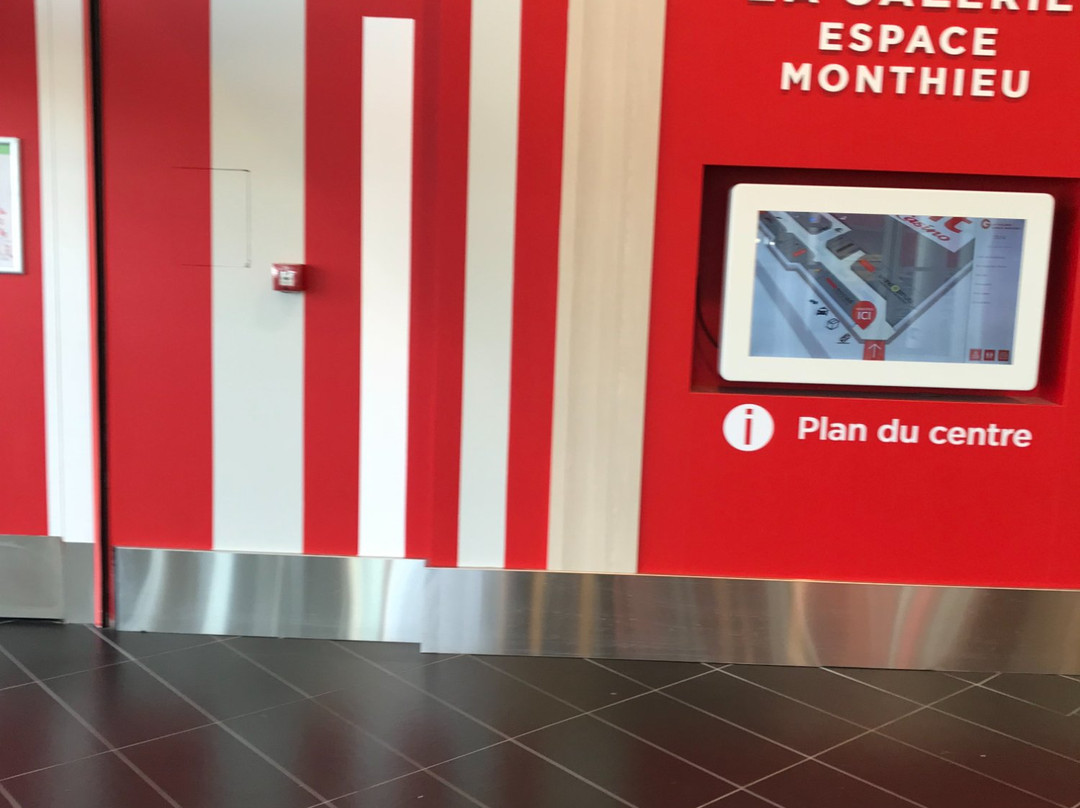 La Galerie Espace Monthieu景点图片