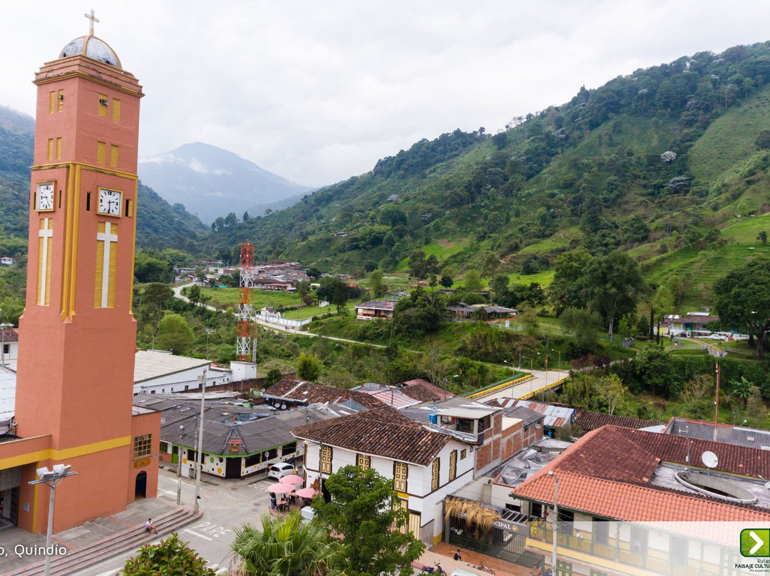 Pijao旅游攻略图片