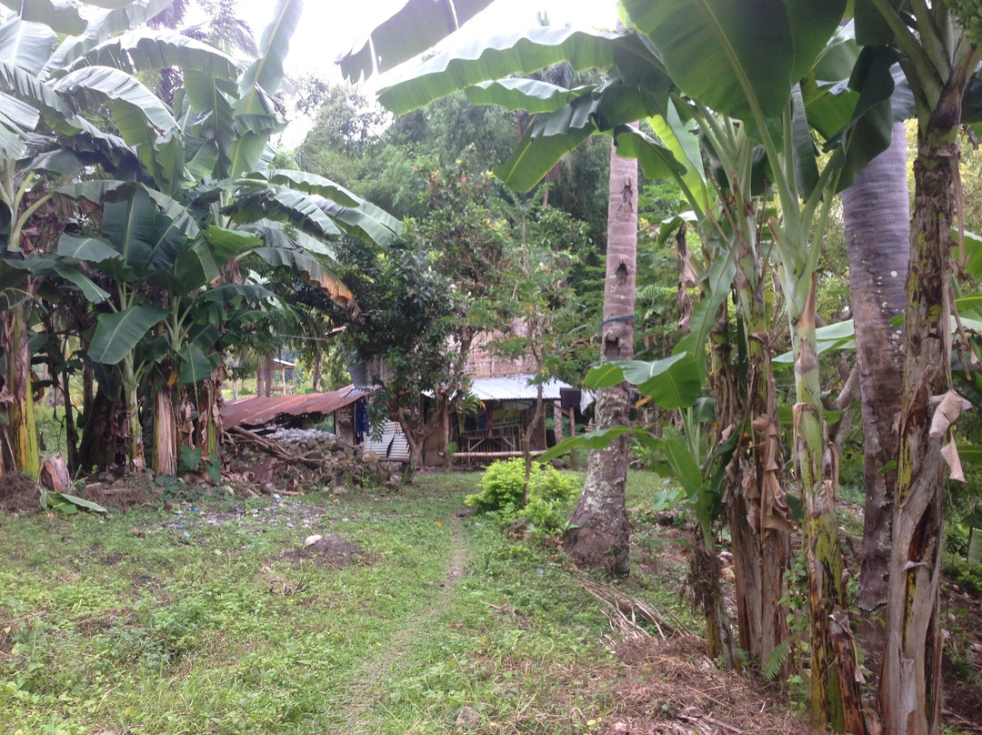 Montpellier Falls-Alegria必去景点