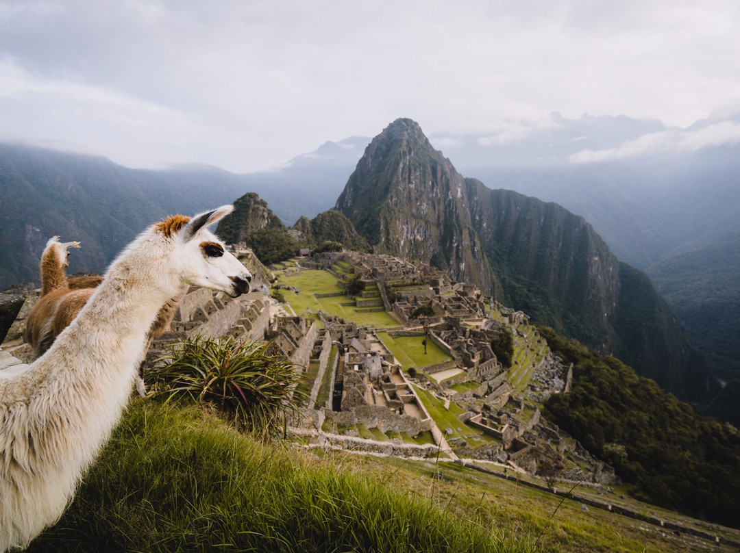 Killa Expeditions-库斯科必去景点