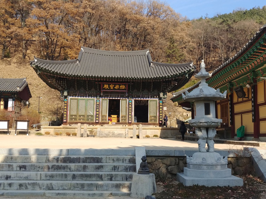 Eunhaesa Temple-永州市必去景点