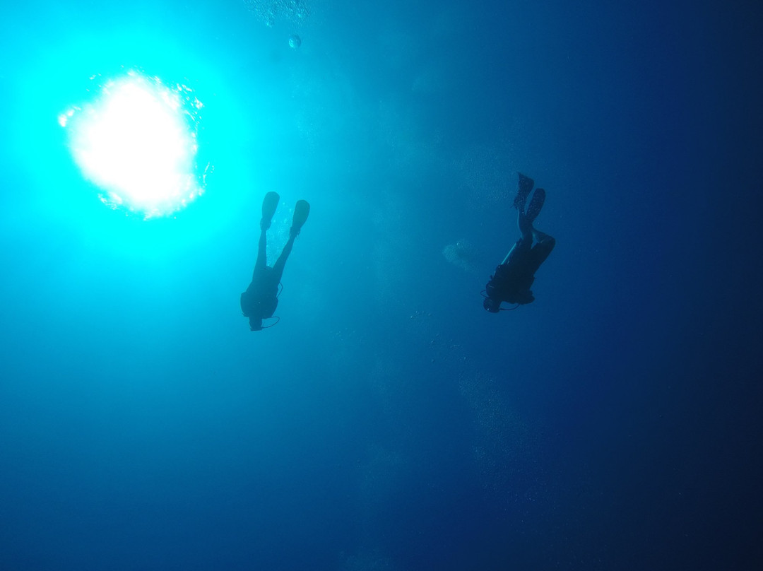 Las Antillas Diving Club景点图片