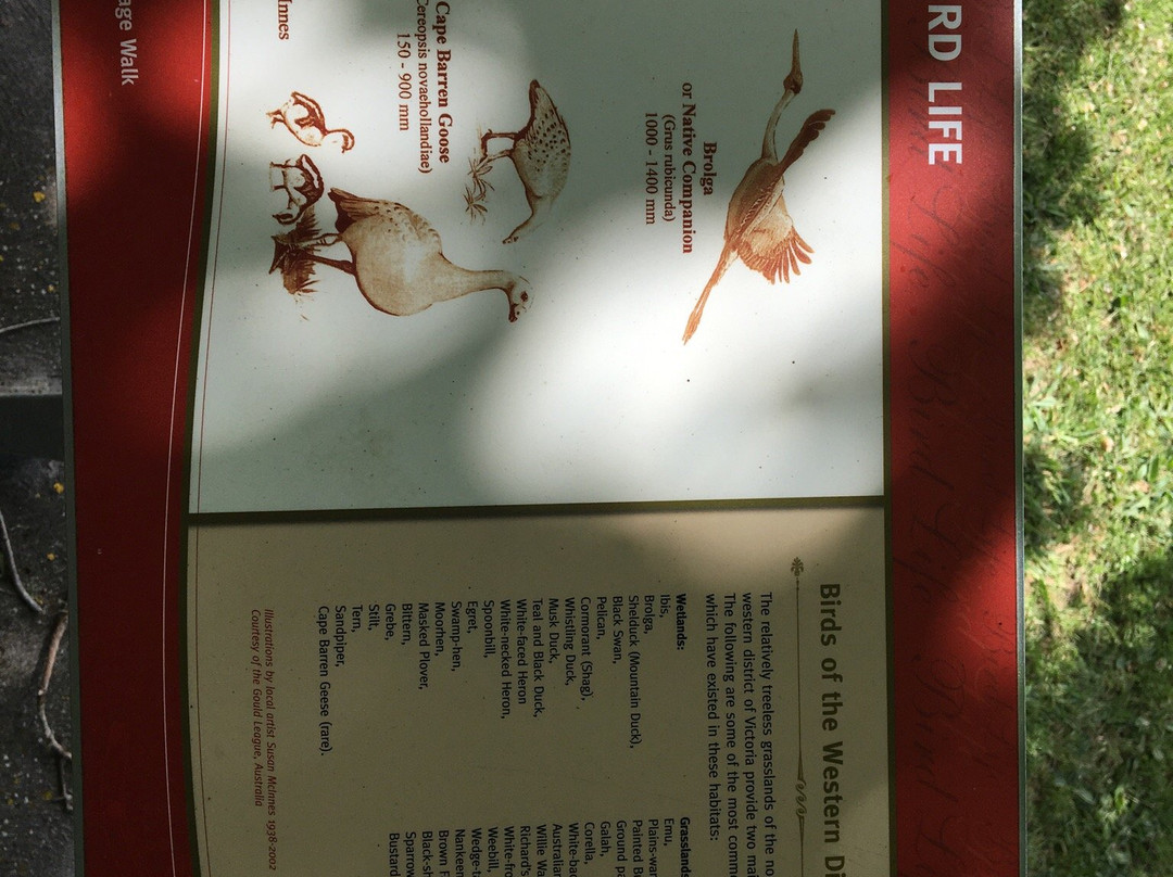 Lake Bolac Information & Business Centre-Lake Bolac必去景点