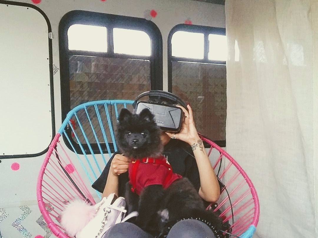 The Dream Wanderer-Landers必去景点