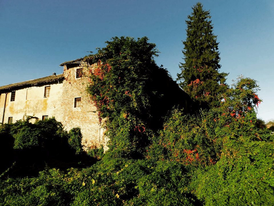 Oratorio di San Damiano景点图片