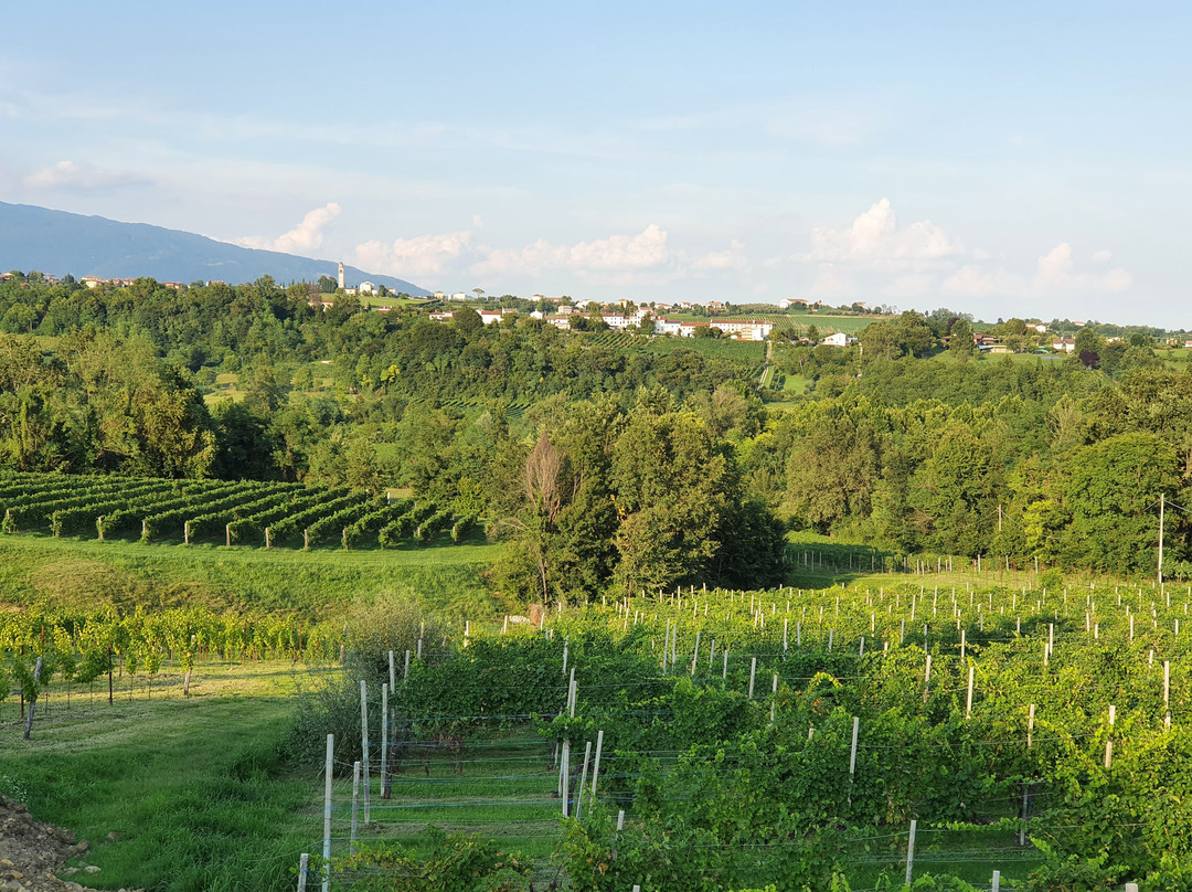 Tenuta Mani Sagge
